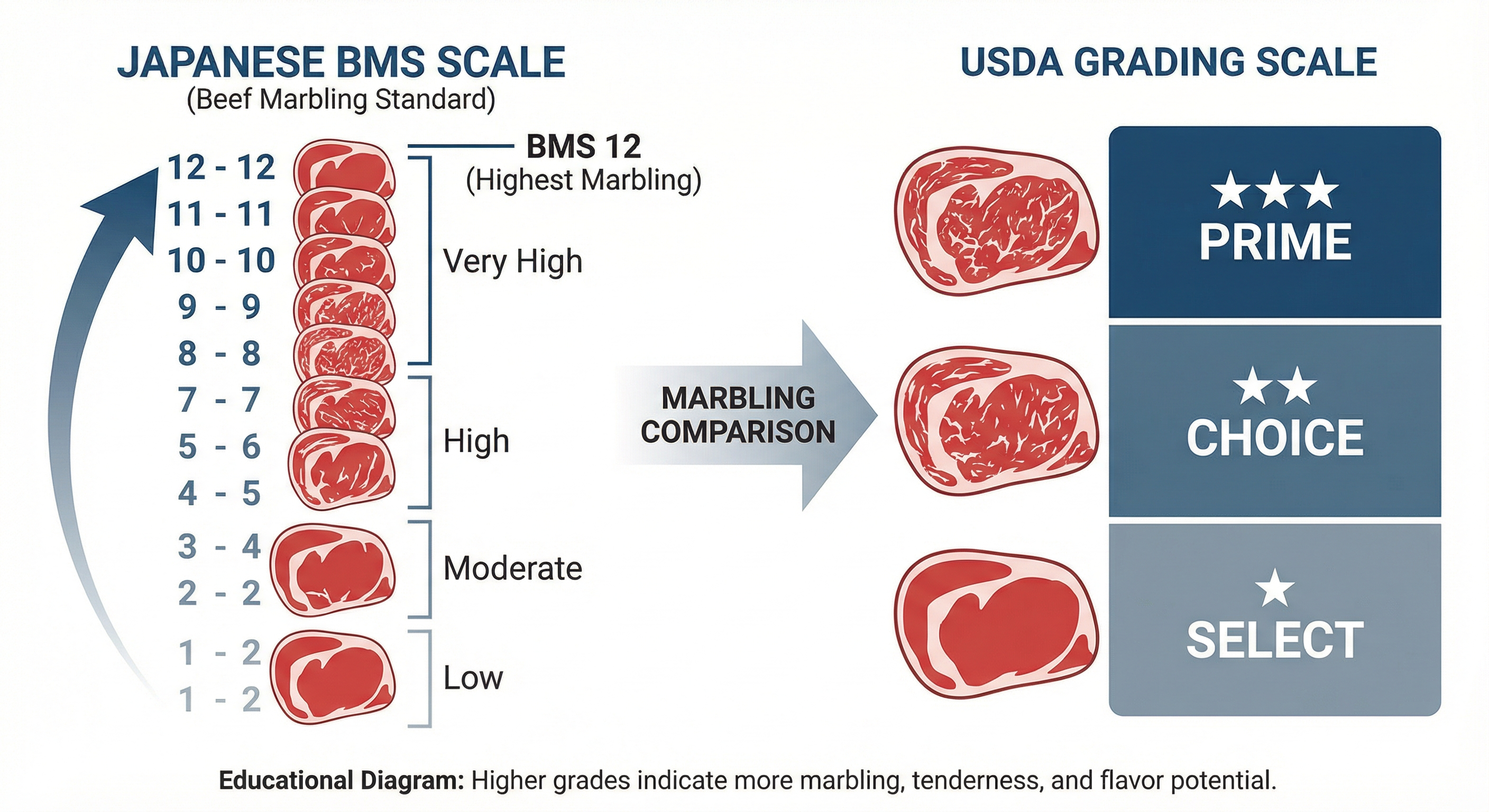 Comparison of Japanese beef grading BMS scale and USDA grading system